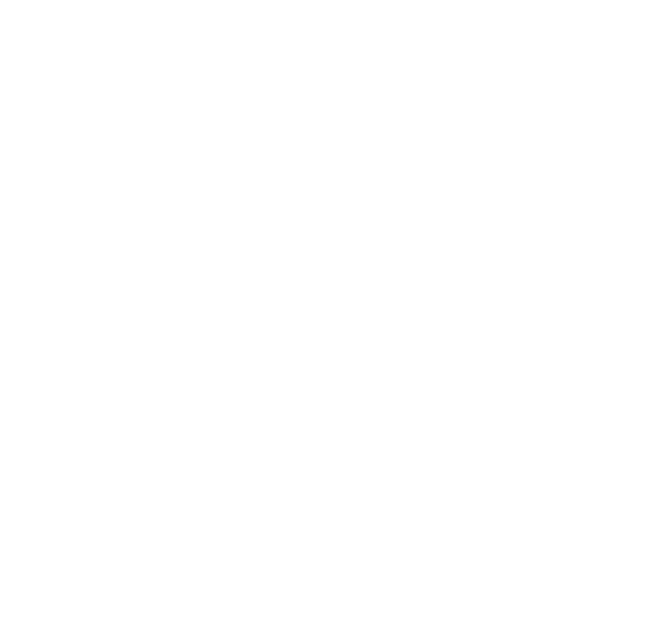 Cardiff Uni Logo